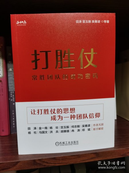 打胜仗:常胜团队的成功密码 田涛 宫玉振 吴春波 等