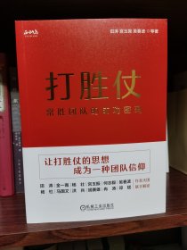 打胜仗:常胜团队的成功密码 田涛 宫玉振 吴春波 等