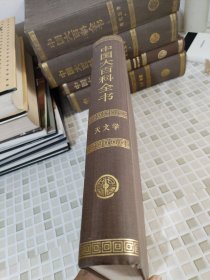 中国大百科全书：天文学（精装）