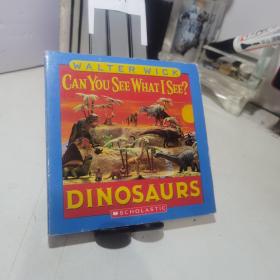 Can You See What I See? Dinosaurs【精装绘本】