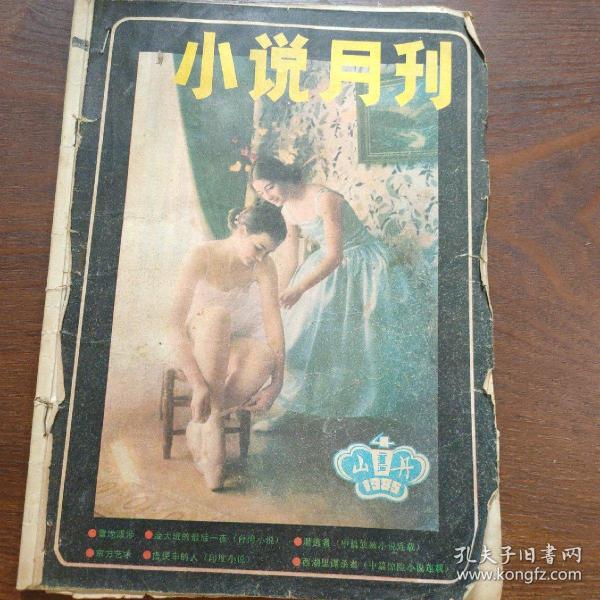 小说月刊1985年第四期