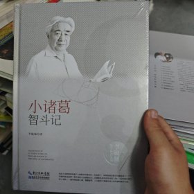 李毓佩数学科普文集：小诸葛智斗记