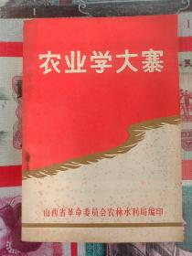 农业学大寨