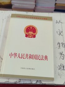 中华人民共和国民法典附草案说明32开