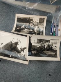渔民作业照片 六七十年代黑白照片，少见的工作照