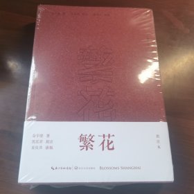 繁花（批注本）茅盾文学奖获奖作品，独特批注版本，王家卫导演同名剧集原著