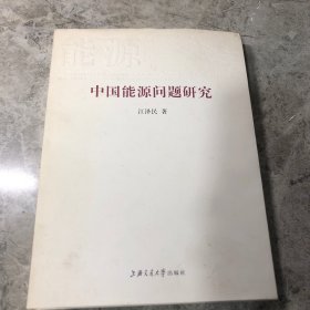 中国能源问题研究