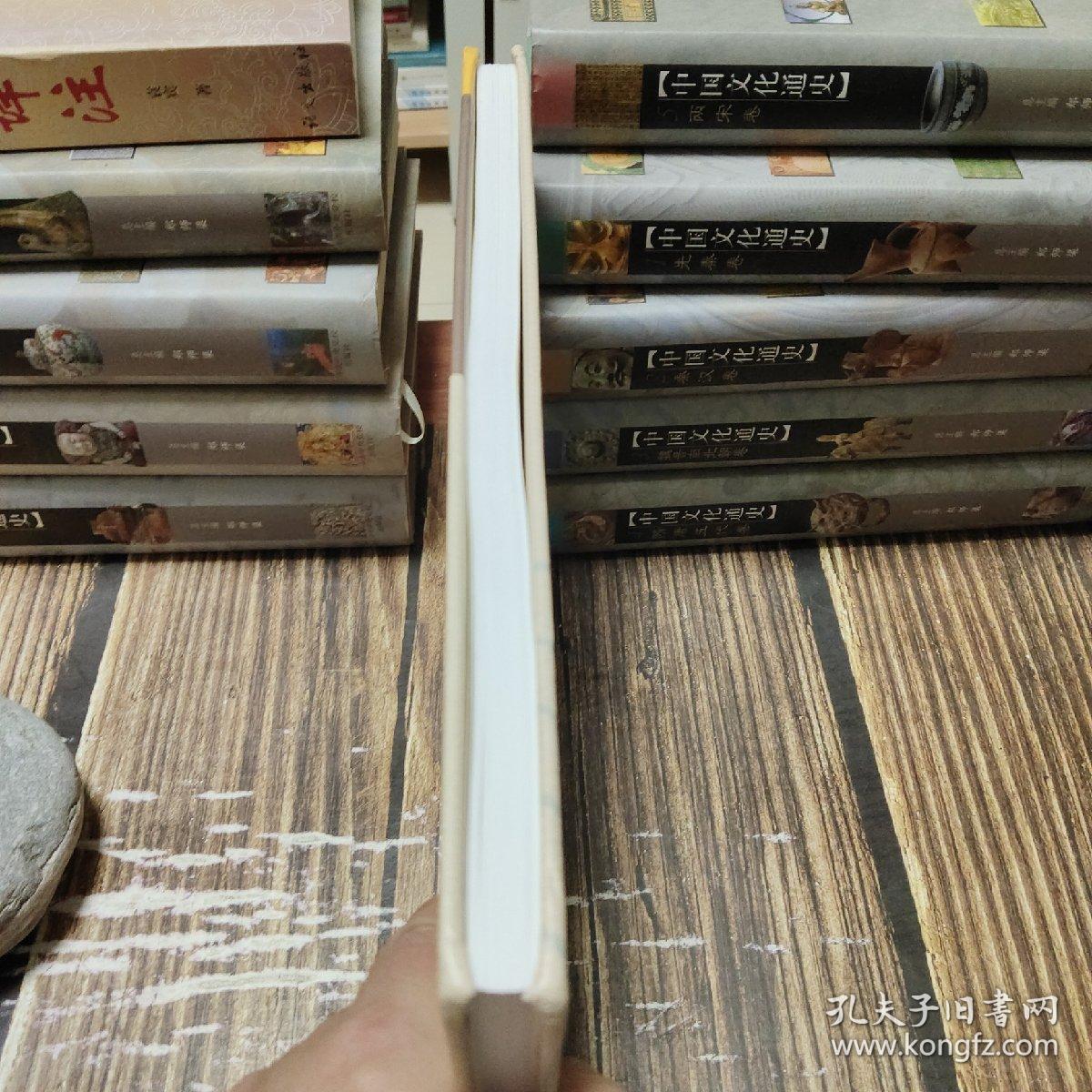 煤层气藏高分辨率探测的地球物理方法