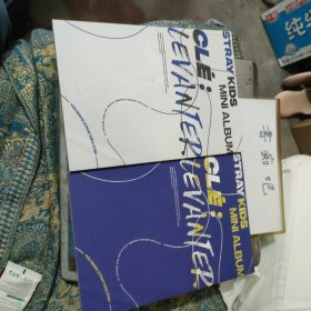 STRAY KⅠDS CLE:LEVANTER2本