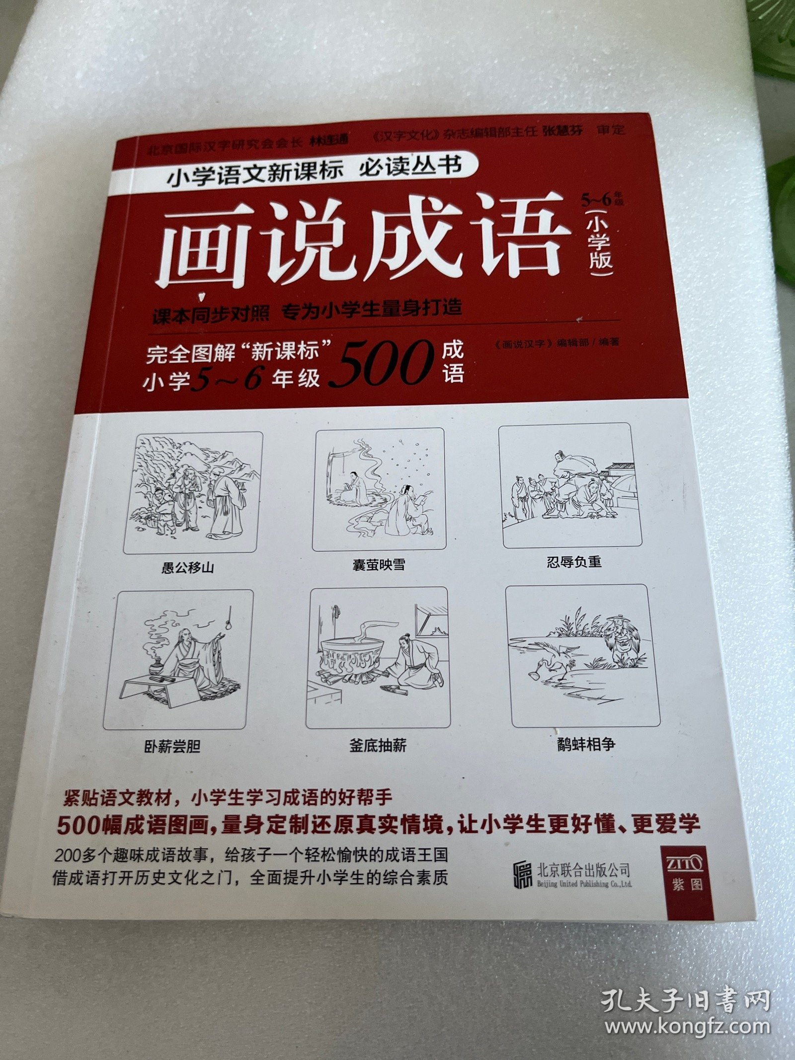 画说成语（小学版） 5~6年级（新课标同步对照学生成语拓展必读，紧贴语文教材。看图学成语，用简明有趣的方式，启发孩子的学习兴趣。）