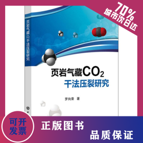 頁巖氣藏CO2干法壓裂研究 9787511450852