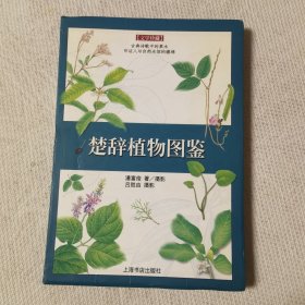 楚辞植物图鉴