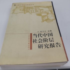 中国社会阶层研究丛书：当代中国社会阶层研究报告