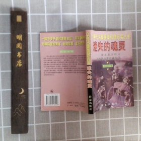 迷失的魂灵--湖北荆沙特大抢劫团伙案侦破纪实