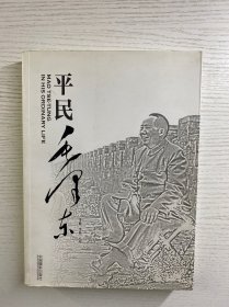 平民毛泽东（正版如图、内页干净）