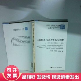 中国国情调研丛书 乡镇卷 在草根经济上成长的钢琴企业集群 洛舍乡镇经济发展的一个缩影  刘小玄 中国社会科学出版社