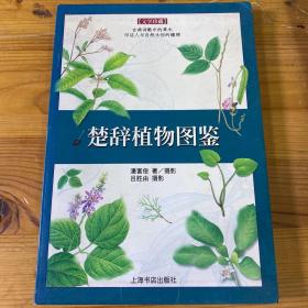 楚辞植物图鉴