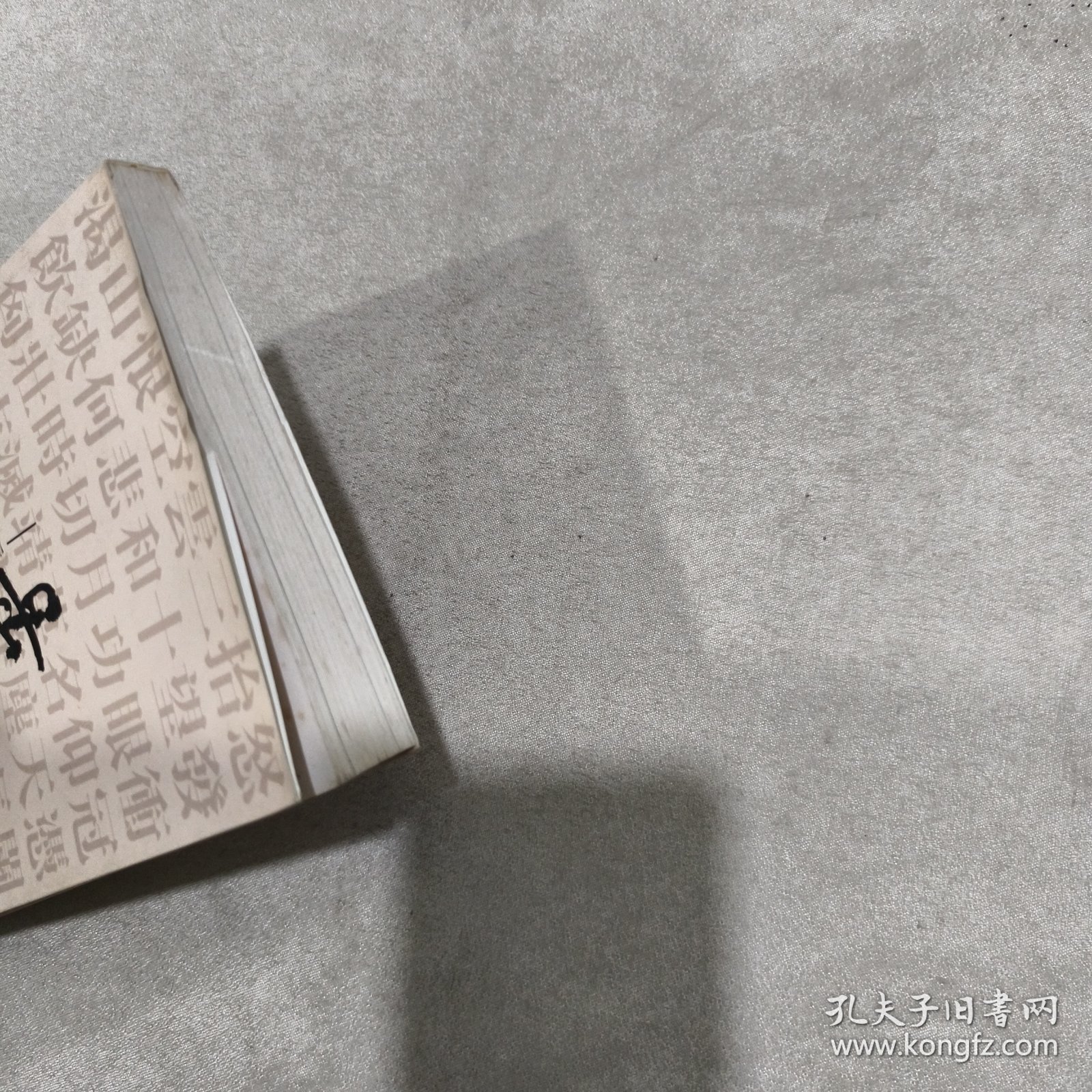 岳家诗 : 岳飞、岳正及岳钟琪诗文