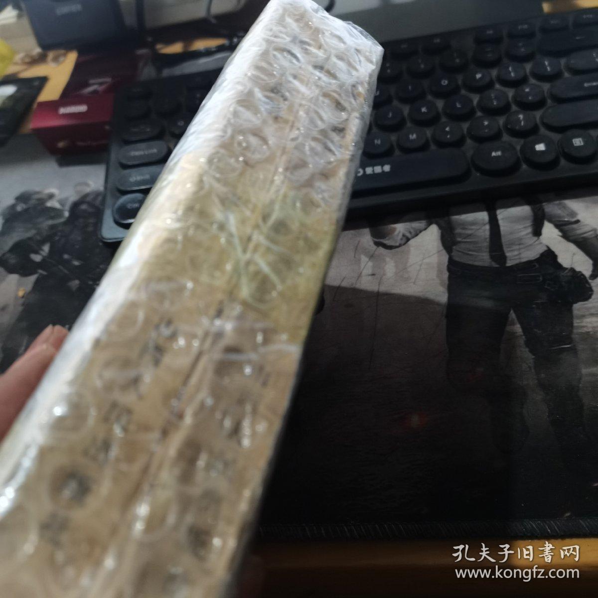 燃烧的岛屿 上下2册合售