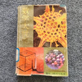 数学大世界