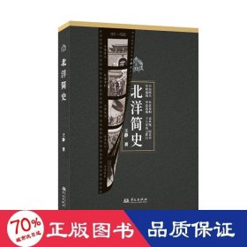 北洋简史 中国历史 王静