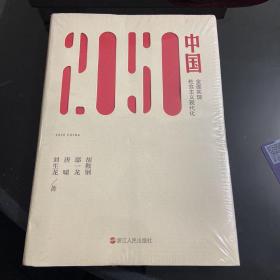 2050中国