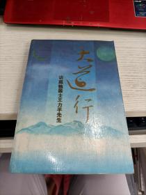 大道行 访孤独居士王力平先生 一版一印