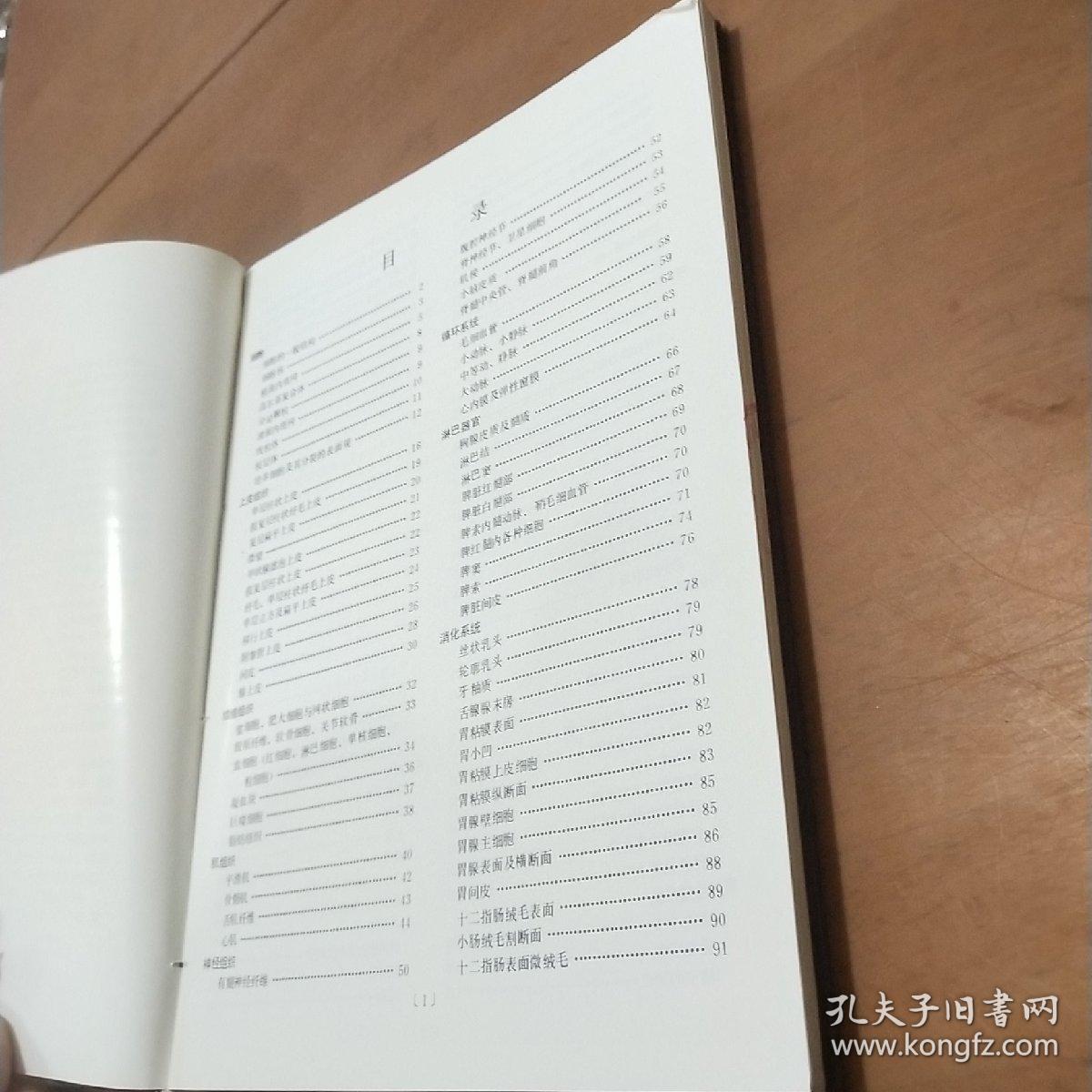 组织和细胞扫描电镜图谱