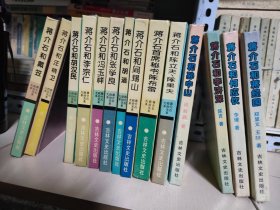 蔣介石政治關(guān)系大系 全14冊 32開精裝 25.5.27