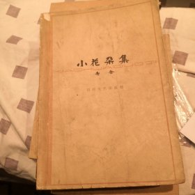 小花朵集