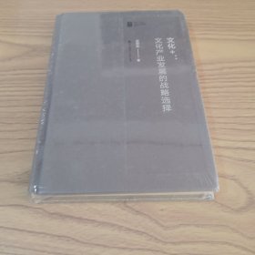 中国(深圳)文化产业管理系列丛书文化+:文化产业发展的战略选择