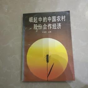 崛起中的中国农村股份合作经济