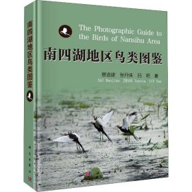 保證正版 南四湖地區(qū)鳥類圖鑒 賽道建,張?jiān)聜b,呂艷 9787030642882 科學(xué)出版社