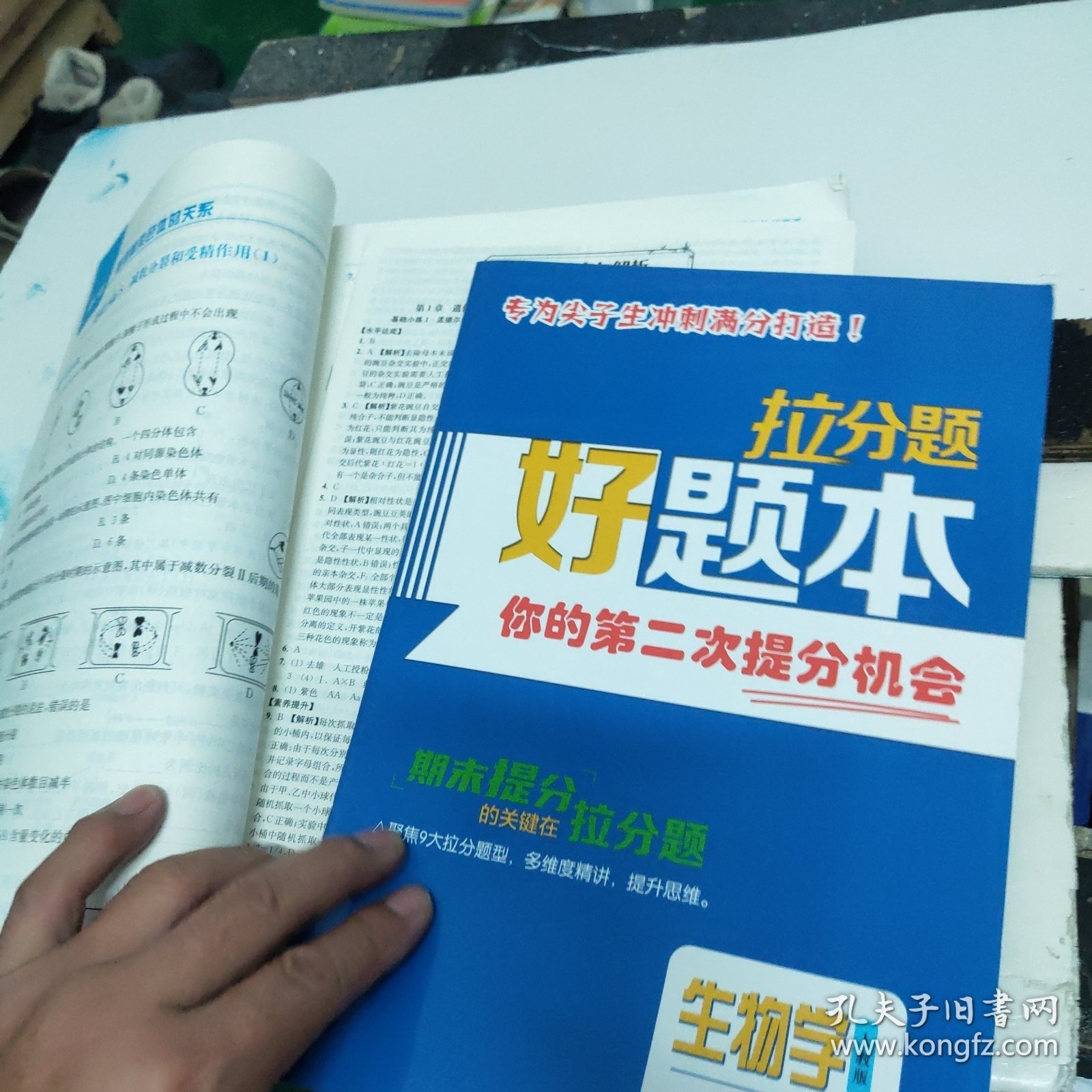 南通小题高中生物学必修2人教版