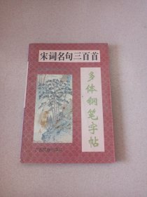 宋词名句三百首多体钢笔字帖