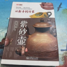 品鉴系列 紫砂壶