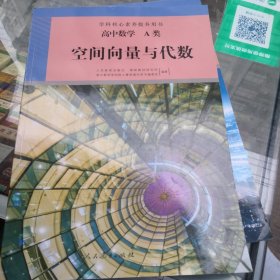 高中数学A类（空间向量与代数）