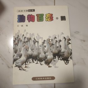 动物百态·鹅