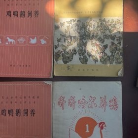 鸡鸭鹅饲养