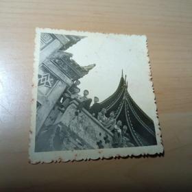 老照片–八名青年在景区合影（胸前佩戴毛主席像章）