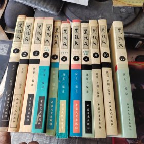 黑镜头（1-11册）全