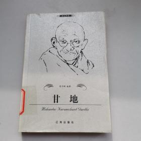 甘地——布老虎传记文库·巨人百传丛书：政治家卷