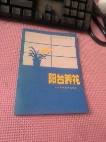 阳台养花