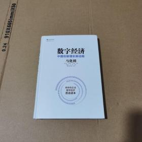 数字经济：中国创新增长新动能