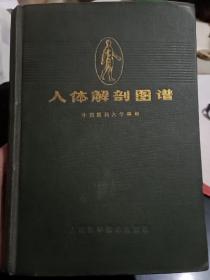 人体解剖图谱 (普及本)精装