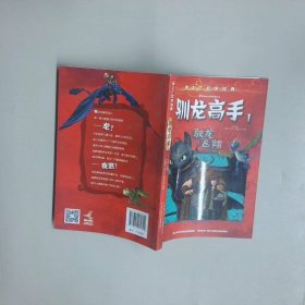 梦工厂文学经典驯龙高手1