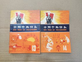 十万个为什么13、14合售