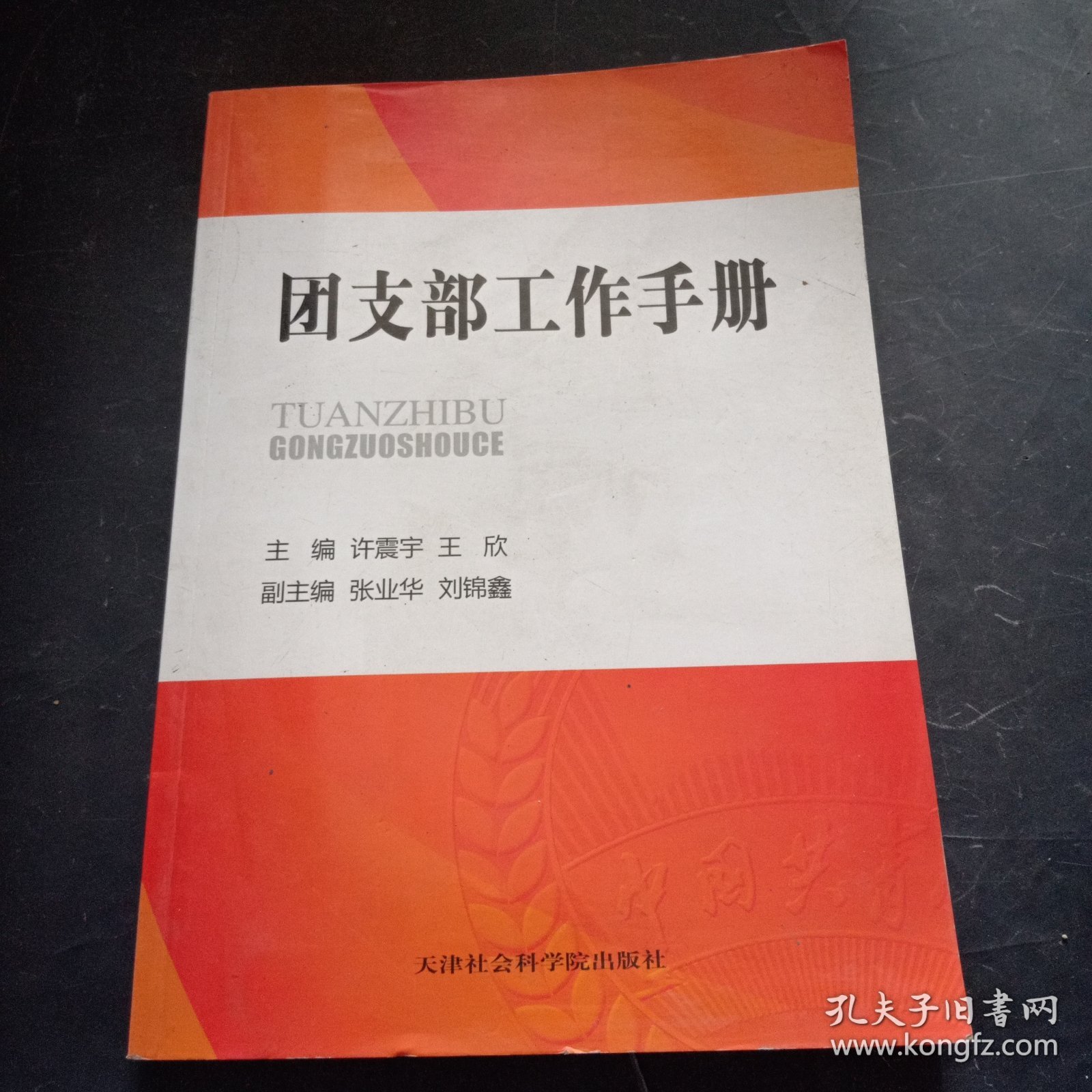 团支部工作手册