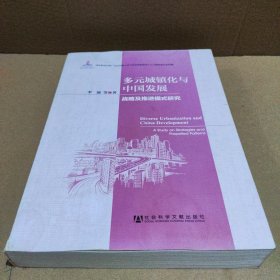 多元城镇化与中国发展：战略及推进模式研究