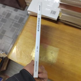 加速時代的好大學(xué)（當代高等教育研究新視野叢書）